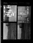 Elm Street park (4 Negatives) 1950s, undated [Sleeve 33, Folder e, Box 20]